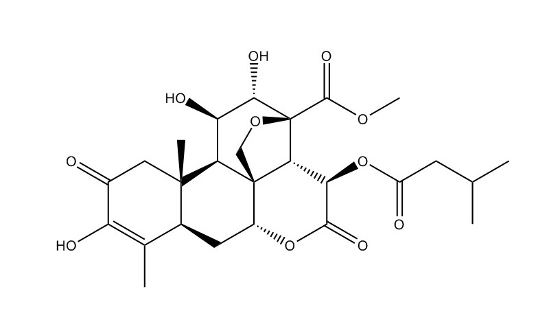 鴉膽子素A|25514-31-2