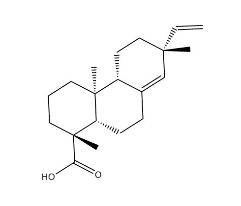長(zhǎng)白楤木酸|19889-23-7